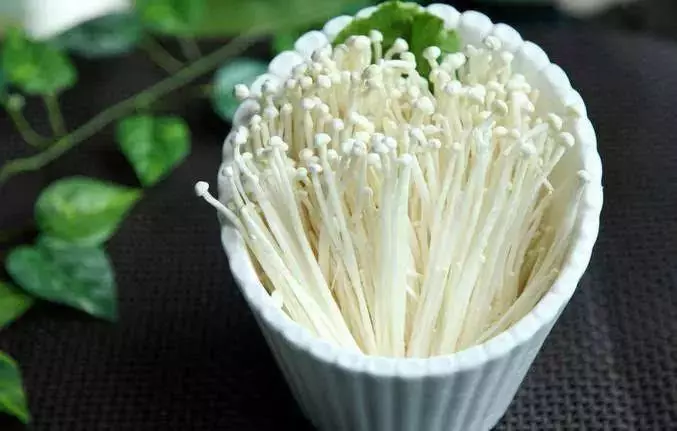 別把蘑菇的營養都浪費了!不同蘑菇的做法,趕緊收藏
