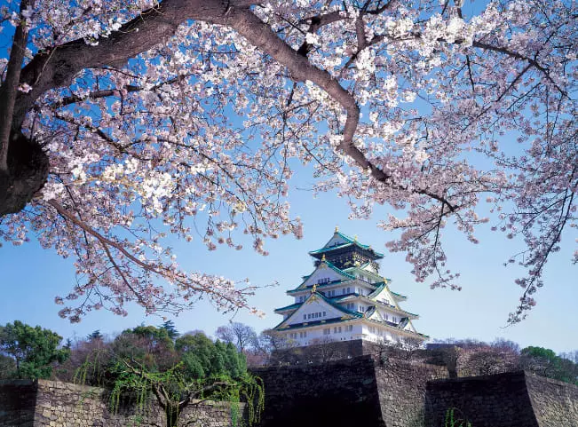【2019櫻花季】四天三夜日本大阪櫻花自由行,交通、行程、景點…一次搞定!