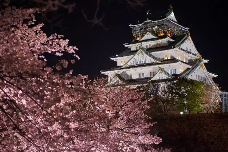 【2019櫻花季】四天三夜日本大阪櫻花自由行,交通、行程、景點…一次搞定!