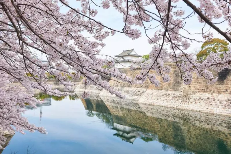 【2019櫻花季】四天三夜日本大阪櫻花自由行,交通、行程、景點…一次搞定!