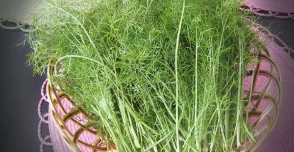 想要抗衰老、防癌、防骨質疏鬆,就一定要認識這種菜,它的 6 大功效強大到連醫生都佩服