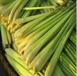 養生去風好喝又清香的【班蘭香茅茶】,對貧血、憂鬱症都有幫助,喝的時候再加檸更是贊
