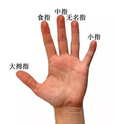 10個你沒聽過的冷知識:人閉上眼睛不能走直線,不信你試試