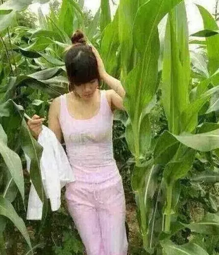 10張史上最爆笑圖:「水姑娘」你去玉米地裡做什麼?看到倒數第二張我笑到沒力氣!