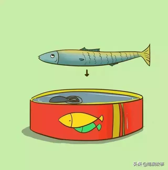 哪些海魚儘量少吃?魚可不是吃得越多就越聰明,關鍵是要吃對