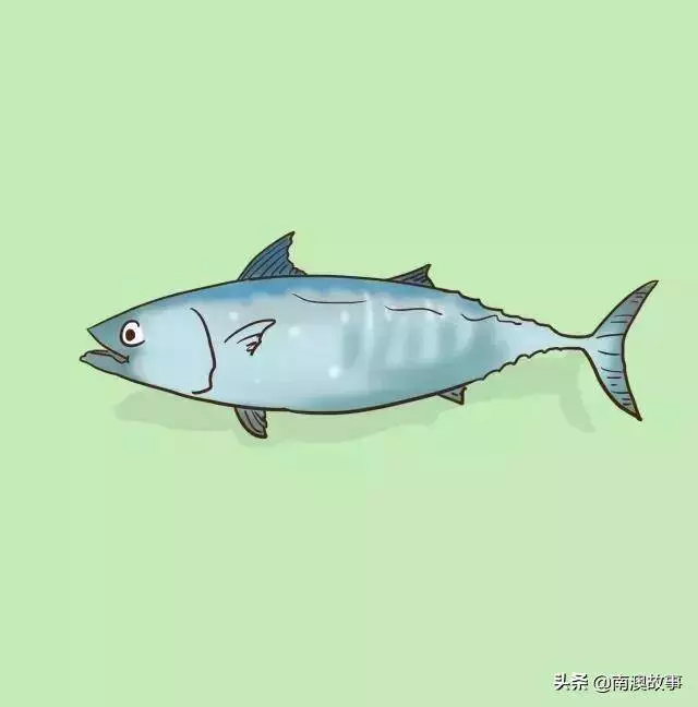 哪些海魚儘量少吃?魚可不是吃得越多就越聰明,關鍵是要吃對