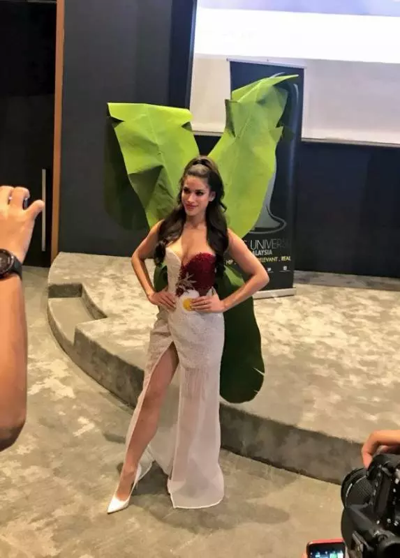 大馬佳麗穿NasiLemak服裝出征世界環球小姐網友...世紀最丑服裝...!