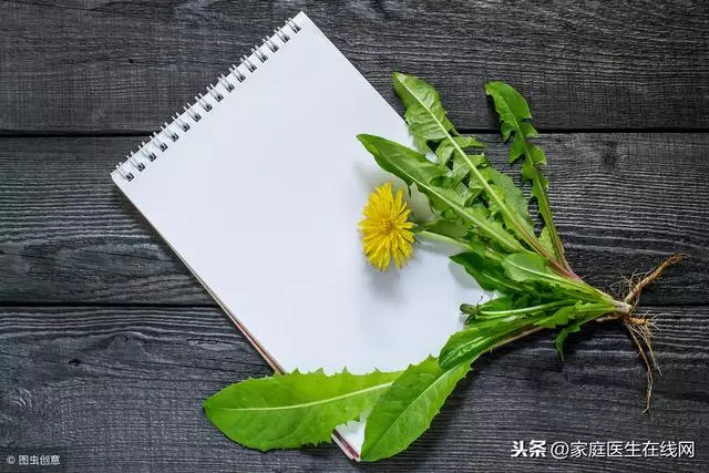 蒲公英是春天的「排毒草」 ,中醫教你3種吃法,效果更佳