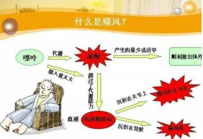 眼睛早花,視力下降,一 碗湯輔助通血管、溶血栓,便宜又有效