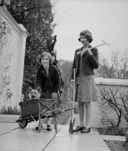 英國女王寵愛柯基70年,這次真的要告別了,再見,一輩子的老朋友