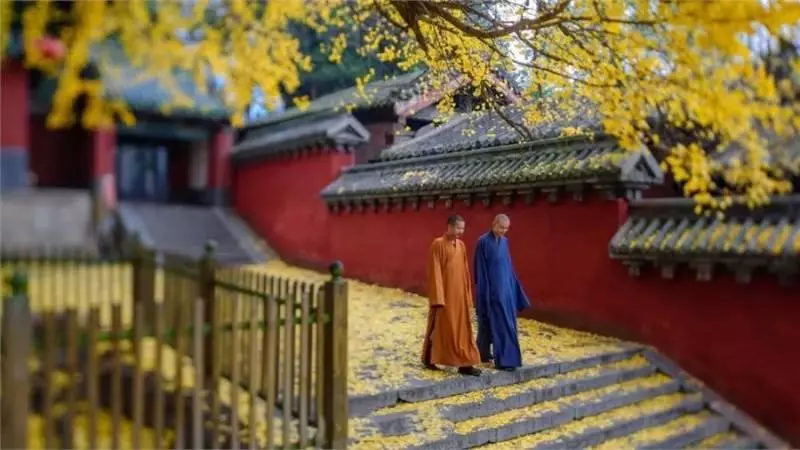 佛說:你給過別人什麼,不管好壞,最終你會都會得到