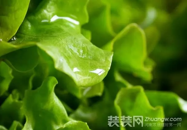 有豆漿機的朋友快收藏!