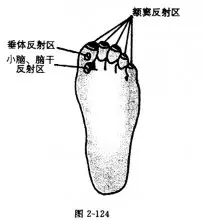 永遠別讓自己父母的腳上出現癡呆線(40歲以上必讀&孝順的子女一定要看)