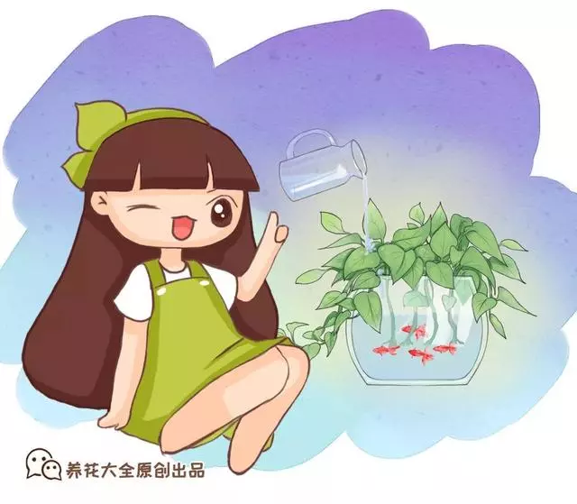 這20種花,最適合扔水裡養,花一開就是好幾個月!