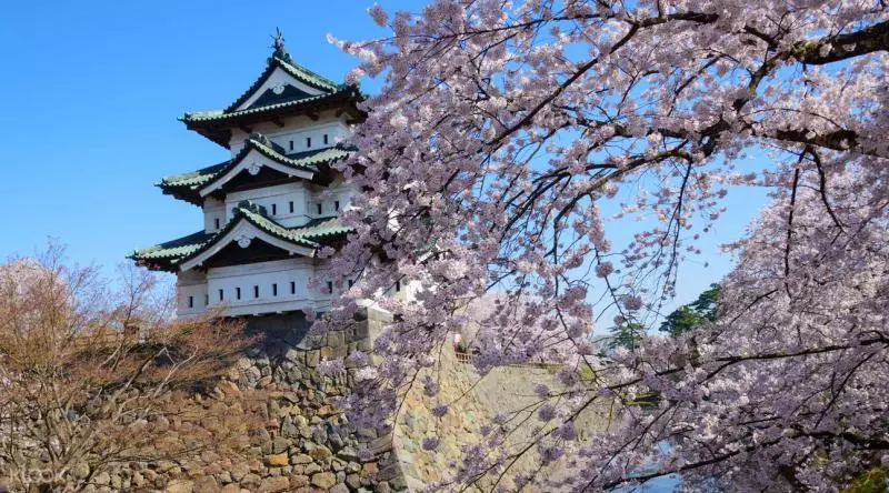 【日本自由行】日本青森櫻花7大景點懶人包!JR PASS輕鬆一次玩透透