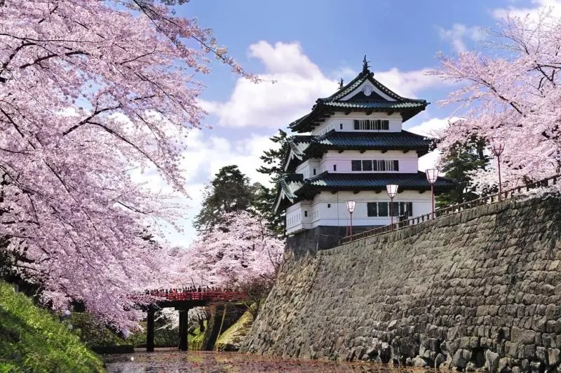 【日本自由行】日本青森櫻花7大景點懶人包!JR PASS輕鬆一次玩透透