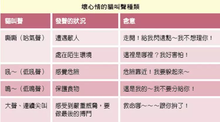 盤點貓咪發出7種聲音!開心「呼嚕聲」內藏祕密...愛不愛產屎官一聽就知道!
