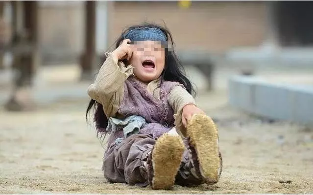 夫妻救了一窩獅子,三年後獅子闖進屋叼走兒子,夫妻追出家門磕頭