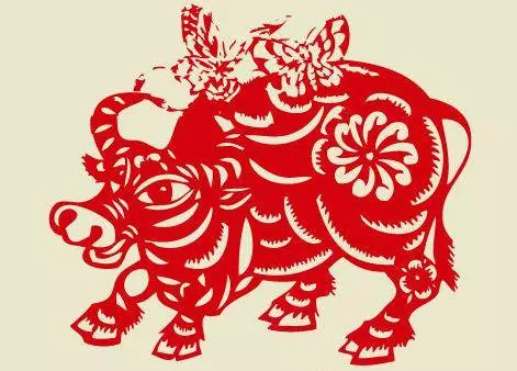 生肖牛:一定要注意了,今年不得不防!你身邊有屬牛的嗎?