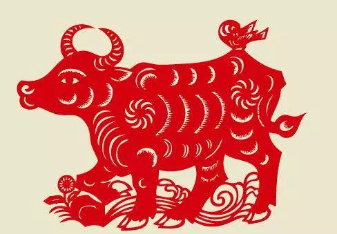 生肖牛:一定要注意了,今年不得不防!你身邊有屬牛的嗎?