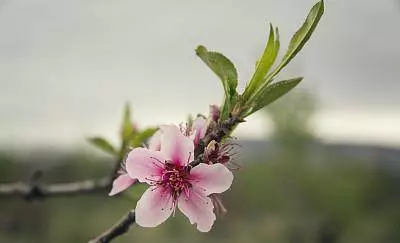 3月18日起,財庫大開,運勢紅到發紫,橫財連發的5大生肖!