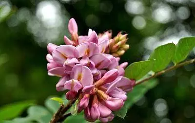 3月18日起,財庫大開,運勢紅到發紫,橫財連發的5大生肖!