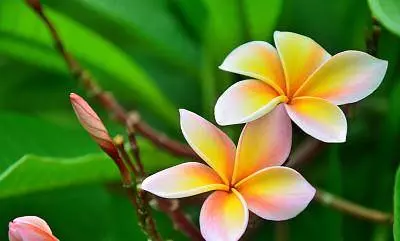 3月18日起,財庫大開,運勢紅到發紫,橫財連發的5大生肖!
