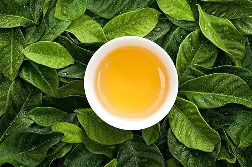 隔夜茶竟有這麼多好處!以後千萬別浪費!
