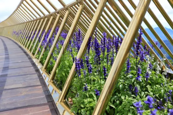 巨人雙手捧橋!越南斥資600億打造黃金橋 一踏上去「瞬間置身夢幻雲海」彷彿來到仙境
