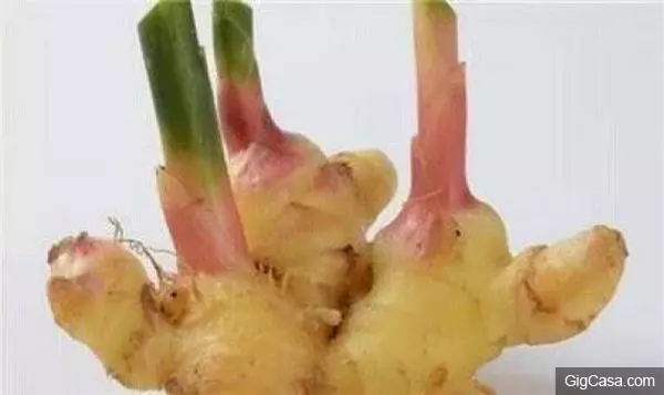 「便祕」要吃,「去斑」要吃,「皮膚乾燥」的人更要吃這個!保持肌膚水嫩有彈性!太實用了!