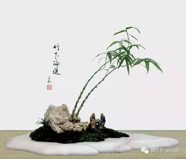 這10種盆景風格,玩一次就上癮!