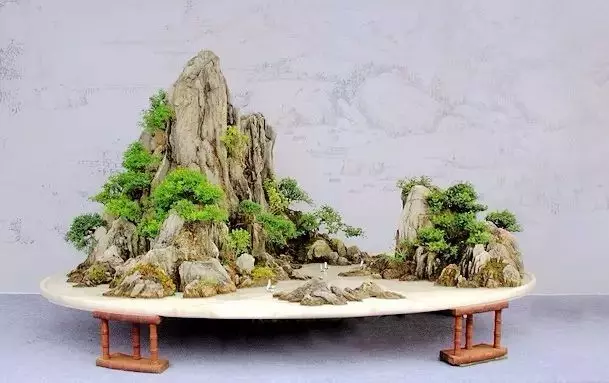 這10種盆景風格,玩一次就上癮!
