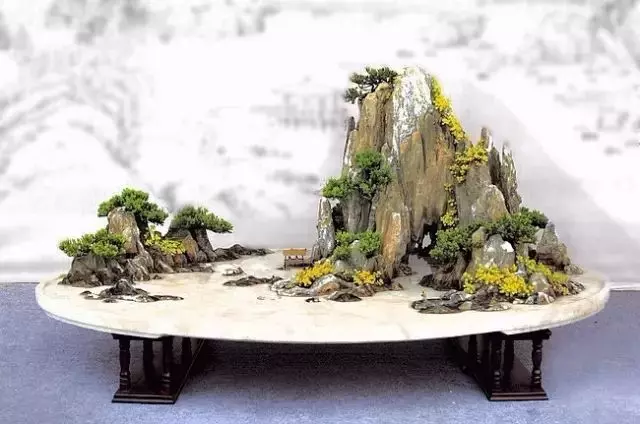這10種盆景風格,玩一次就上癮!