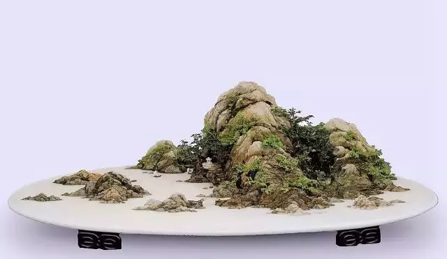 這10種盆景風格,玩一次就上癮!