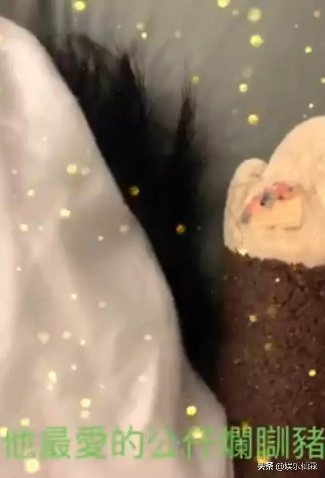 張柏芝分享小兒子近況,四個月大小王子和媽媽睡,頭髮烏黑濃密!