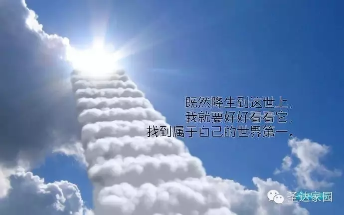 活著,最大的失敗不是跌倒,而是從來不敢奔跑。