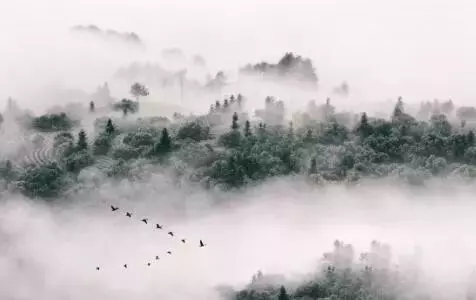 很多人事的變遷,你無法左右,只能隨緣。