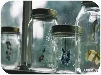 人活一輩子,最好的資本是你的人品,漂亮的外表總有一天會老去
