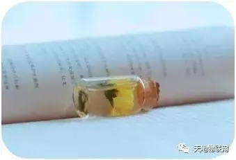 人活一輩子,最好的資本是你的人品,漂亮的外表總有一天會老去