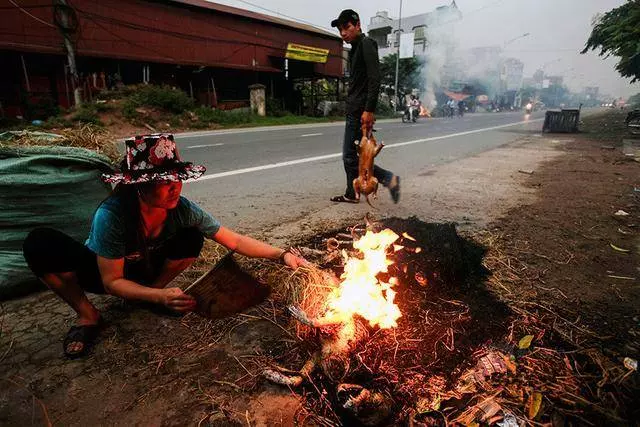 這裡堪稱全球最大的狗肉市場,每年至少吃掉20萬隻狗