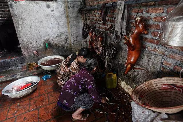 這裡堪稱全球最大的狗肉市場,每年至少吃掉20萬隻狗