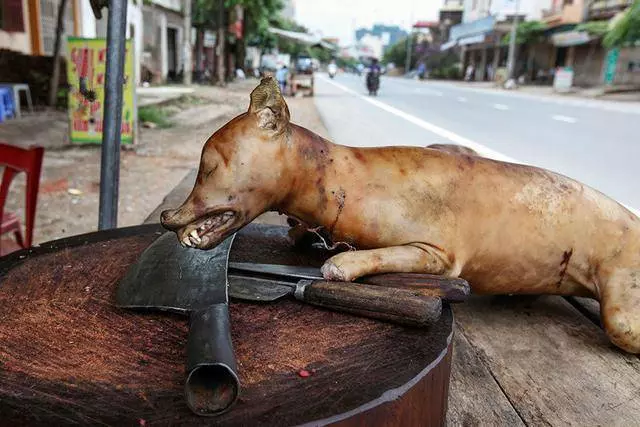 這裡堪稱全球最大的狗肉市場,每年至少吃掉20萬隻狗