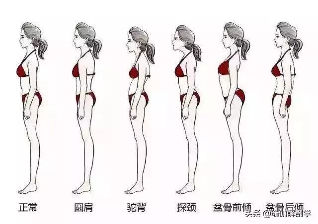 一個瑜伽動作躺著練,再也不會圓肩駝背啦!