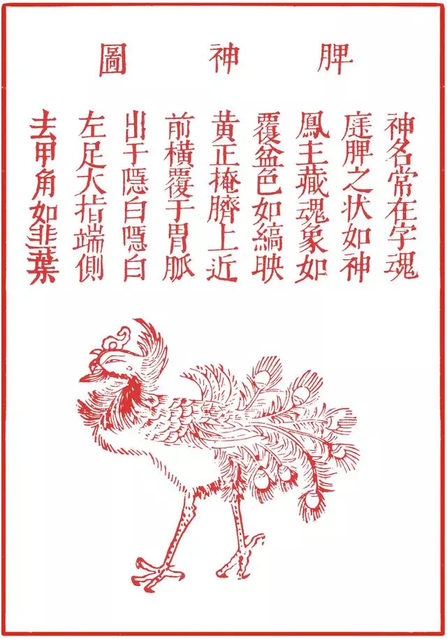 古人認為五臟之中有五個神,它們的模樣難以描述