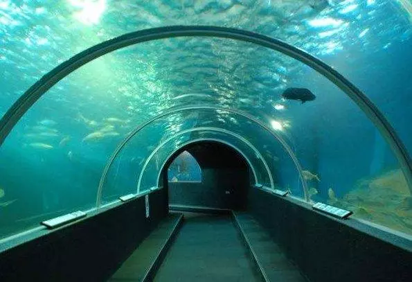 海裡全是水,海底隧道是怎樣修建的?看完感歎:工程太偉大了