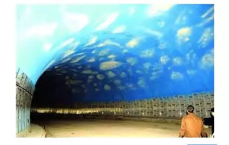 海裡全是水,海底隧道是怎樣修建的?看完感歎:工程太偉大了
