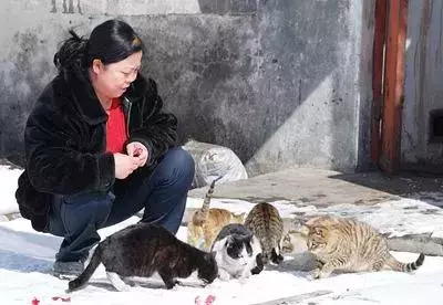 魚缸裡的魚一天比一天少,網友感到好奇,直到昨天提前下班~