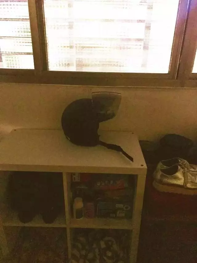 從天而降三隻串串貓,苦苦掙扎,路人視而不見