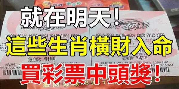 就在明天!這些生肖橫財入命,買彩票可以中大獎!