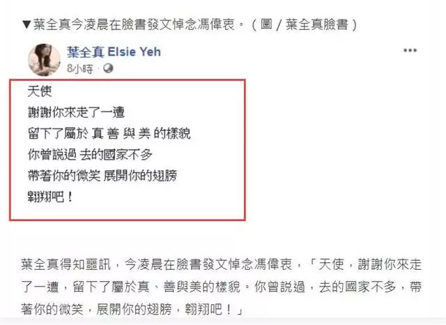 葉全真「兒子」當兵意外離開,她深夜發文悼念「天使翱翔吧」:去見你想見的人